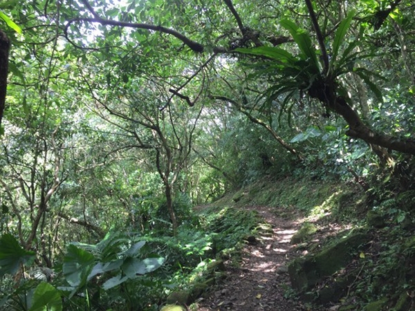 灣潭古道路徑古樸。（圖片來源：周倩漪）