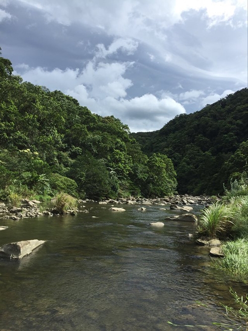 灣潭古道沿路的水潭，是炎炎夏日戲水好去處。（圖片來源：周倩漪）