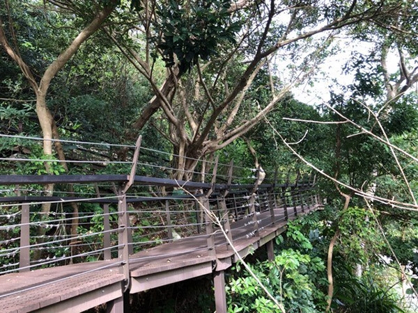全齡友善步道刻意架高木棧道，降低對生態的破壞。（圖片來源：周倩漪）