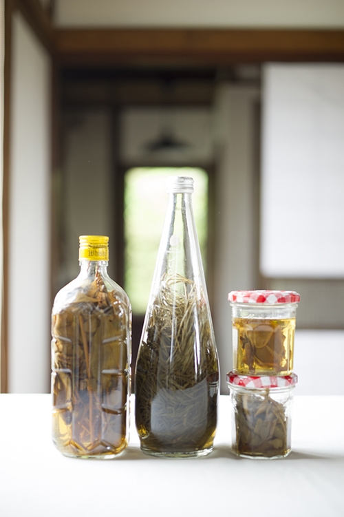 香草植物和野菜除了可以做為食材，也能當作保養材料使用。（出自PR Times）