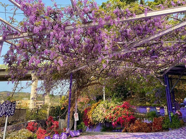 「噢哈娜咖啡屋」園區內充滿浪漫氣氛，隨處都好拍。（出自IG@ohana_coffee_2016）