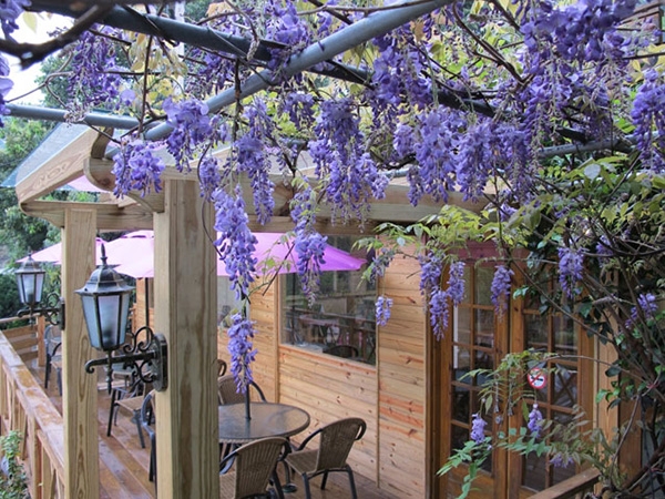 位於八里的紫藤花藝村，在賞景同時也能品嘗到有水準的美食餐點。（出自紫藤花藝村官網）
