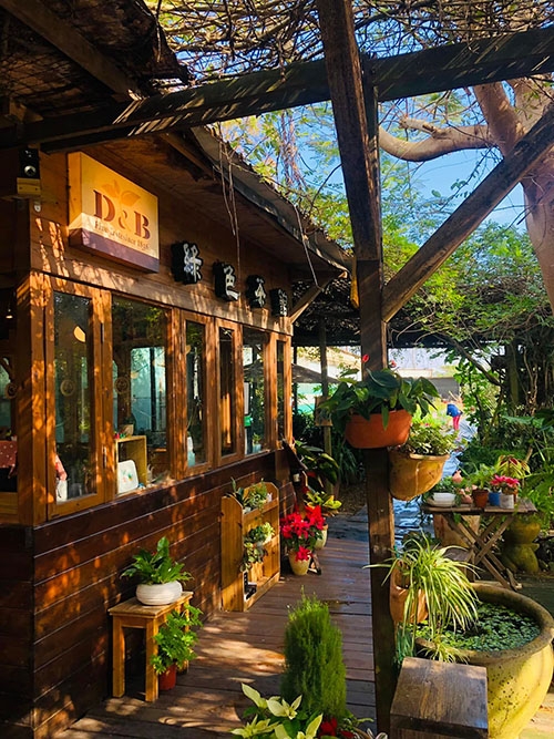 充滿自然氛圍的「D&B綠色咖啡館」，可以品嘗到店家精心製作的各式手工美食。（出自D&B綠色咖啡館FB粉專）