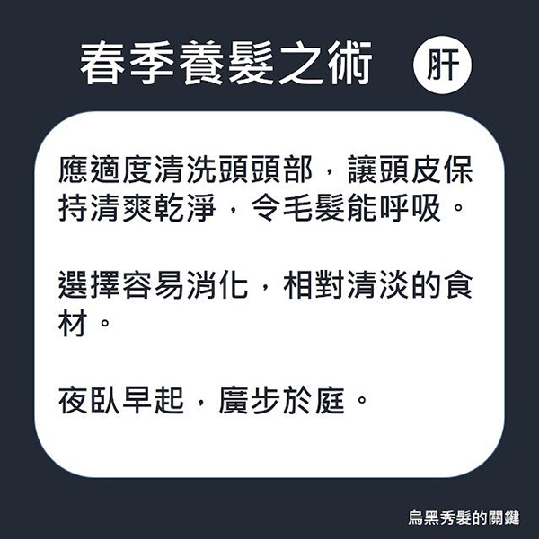 白髮、掉髮怎麼改善？陳信宏中醫師的「順時養髮術」：洗頭順序、四季養髮重點一次看懂_img_1