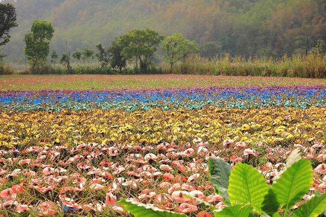 到大武山下拜訪春天！循「味」向一條好心情公路出發_img_9