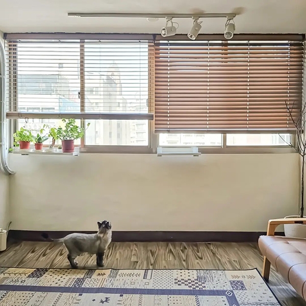 綠色植物能瞬間提升居家空間活力。（圖片來源：意萍如喜）