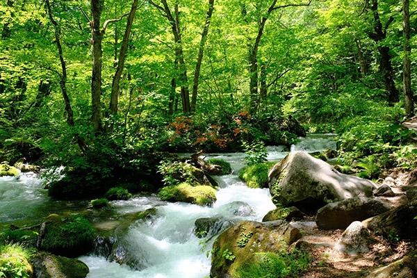 選擇步行遊覽景點，反而能看到意料之外、令人難以忘懷的景緻。