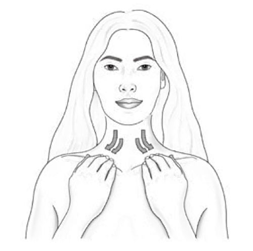 淋巴管會隨年齡增長變窄!淋巴按摩代謝大腦細胞廢物,減緩頭痛、腦霧、防失智_img_1