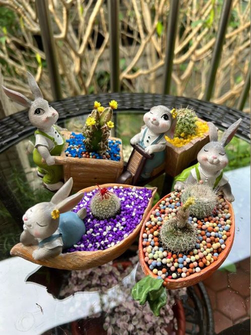 吳映蓉說，植物的美與生命力超乎想像，觀察它們小小的變化，就能帶來很大的快樂。