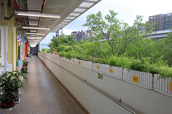 走廊圍牆上放滿各式植栽，創造五感體驗，也保護長輩安全。