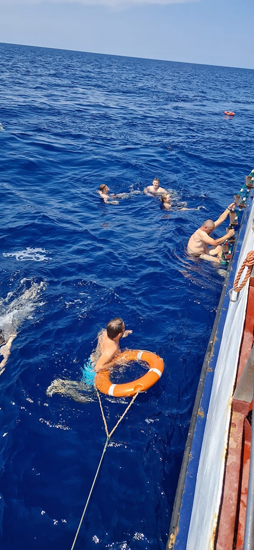 在蔚藍海水中優游，多麼自在。
