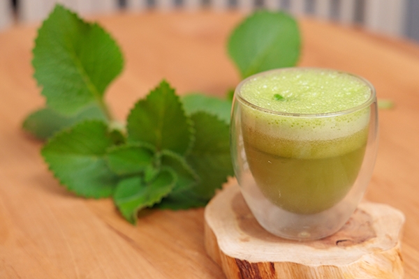 劉雨青將左手香和市售柳橙汁混合打成汁，端出一杯左手香柳橙汁。