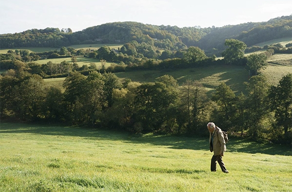 （出自采昌國際）