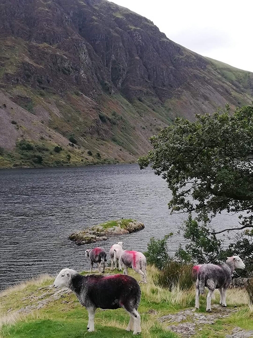 Anita分享她所居住的英國湖區風光。