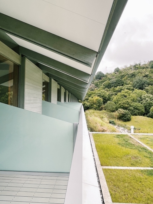 屋頂木結構從室內延伸至戶外露臺。