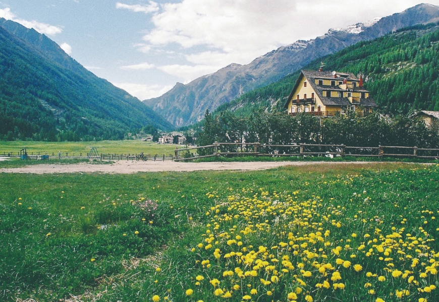 在「天堂」一望無際的草原。