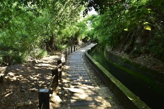 由枕木鋪設完成的知高圳步道沿著圳攀升，沿著雪蓮步道上坡有180度的瞭望區，是觀看城市、夜景的熱門地。(照片來源：臺中市政府觀光旅遊局)