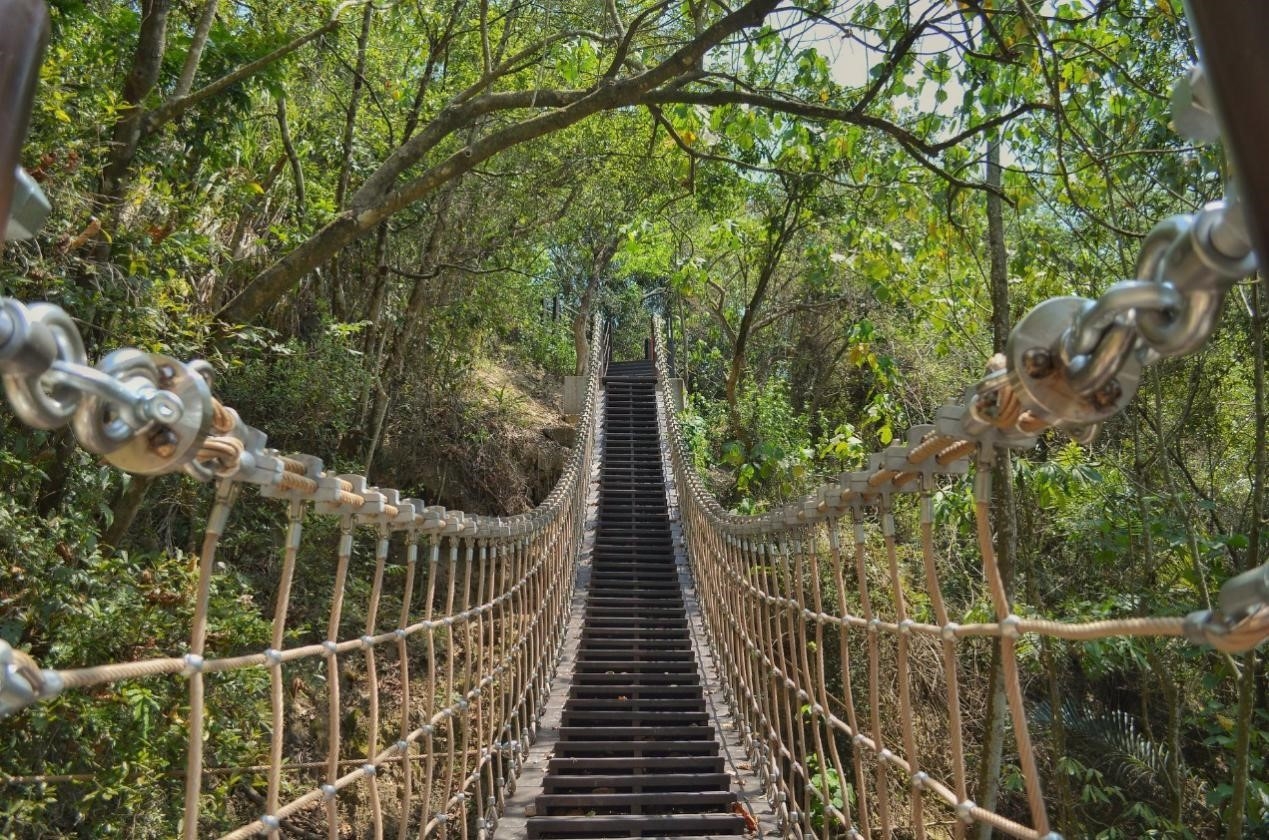 太平頭汴坑休閒農業區內有酒桶山、蝙蝠洞、百蝠橋以及豐富的農遊體驗，其中磨仔墩更是國內早年枇杷種植成功的發源地，是座擁有許多人文故事的景點。(圖片來源：大玩臺中-臺中觀光旅遊局FB)