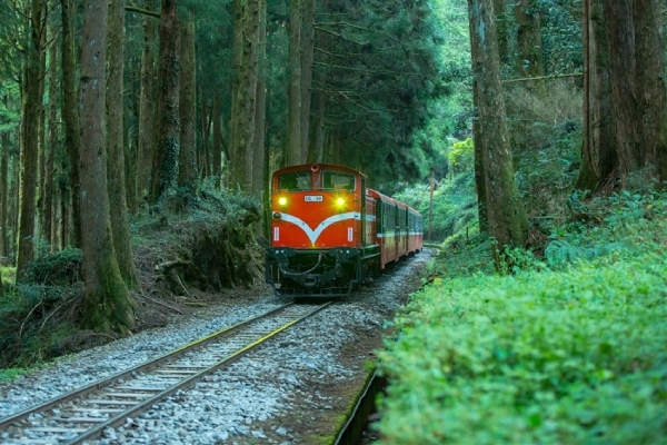 擁有百年歷史的阿里山森林鐵道，是台灣相當獨特的鐵道路線之一。（出自雄獅旅遊官網）