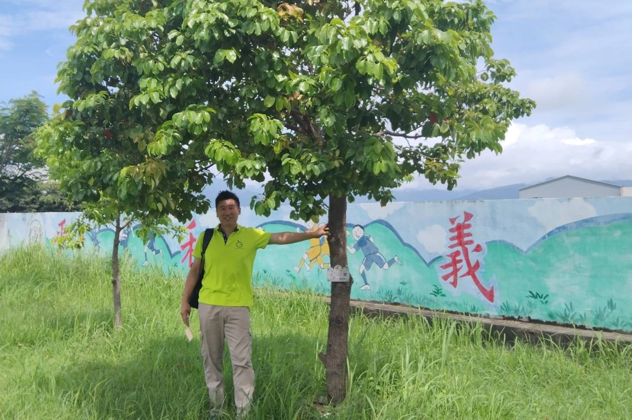 多年前在臺東豐里國小所種下的樹苗，如今已成長為可以遮陰的大樹。 綠色冀泉提供。