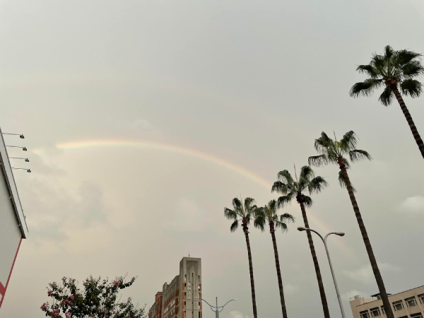 天邊出現一道彩虹，Sophia用眼睛與手機記錄這美麗的一刻。