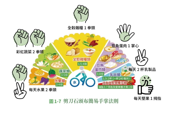 每天蛋白質、蔬果該吃多少,才能控糖又維持肌肉?「剪刀石頭布」口訣輕鬆計算_img_1