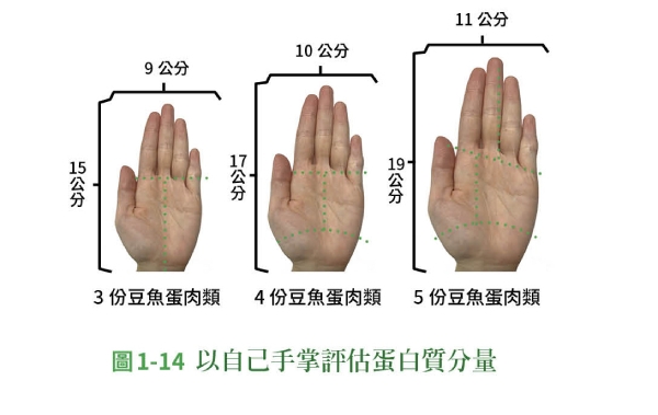 每天蛋白質、蔬果該吃多少,才能控糖又維持肌肉?「剪刀石頭布」口訣輕鬆計算_img_8