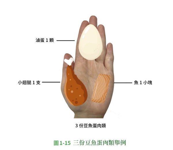 每天蛋白質、蔬果該吃多少,才能控糖又維持肌肉?「剪刀石頭布」口訣輕鬆計算_img_9