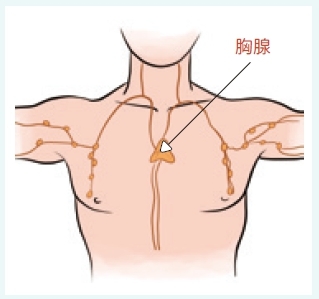 怕另一半生氣不敢亂說話,她常胸悶刮出滿滿紅痧!在家怎麼刮痧舒緩情緒、呼吸順暢?_img_4