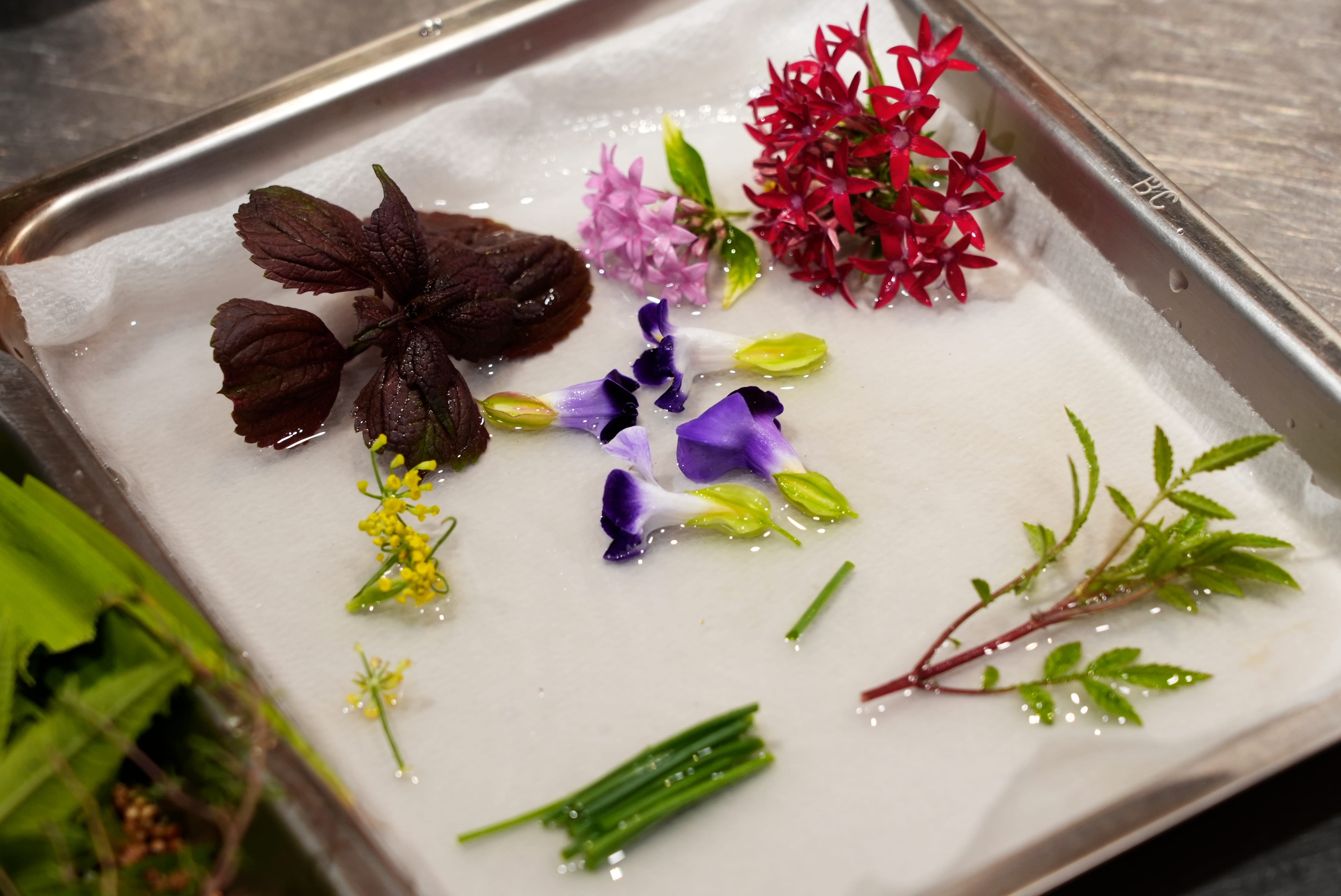 採用臺東在地的天然素材，讓所有旅客都能夠吃在地、品當季，是鄭吉崇料理的重點