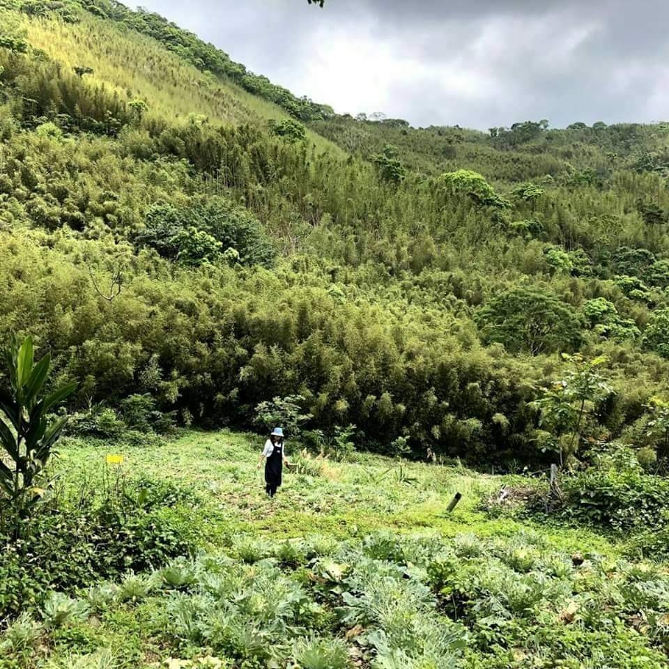 2018年開始嘗試半農半Ｘ生活，在桃園復興山區農場幫農，被滿山桂竹林包圍，感謝山林與朋友接納並協助了我。