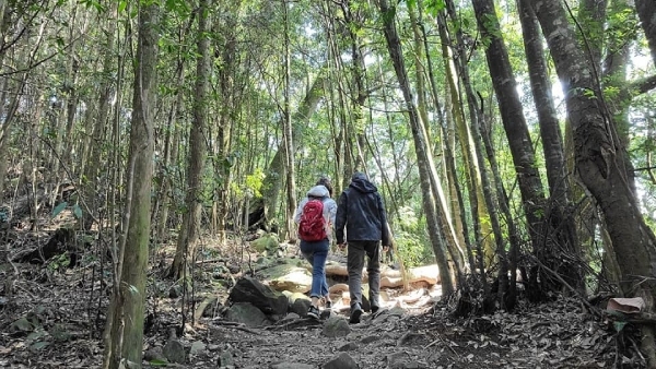父女倆不僅一起為律師考試努力，平時也會一起健行爬山。