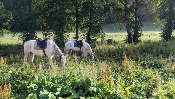 身體舒適，歐洲優美的風景看起來更動人。（圖片來源：湯光萍）