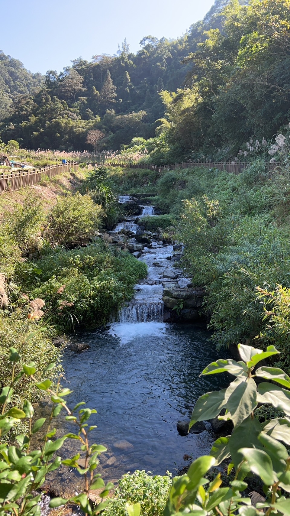 何昊哲副教授發現從地形條件上來看，坪林豐富的水資源，如河流、溪流，可運用於小水力發電上，提供了一種清潔、可再生的能源解決方案，有助於減少對化石燃料的依賴、降低碳排放，對於坪林地區的農業和餐飲業而言，小水力發電提供了一個自電自用、低碳的能源解決方案。