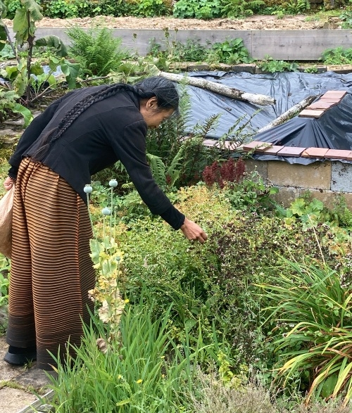 孫麗翠長年在陽明山上過著簡樸生活，每天親手打理菜園。（圖片來源：孫麗翠）