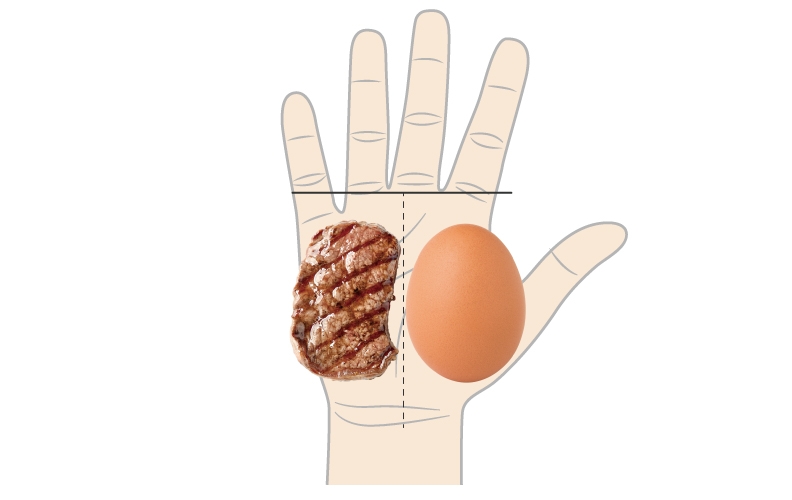 每餐應攝取符合手掌面積及厚度的蛋白質，即2份肉，例如半個手掌大小的肉排加一顆蛋，就是理想組合；如果要換成傳統豆腐，一個田字形大小的豆腐等於1份肉。