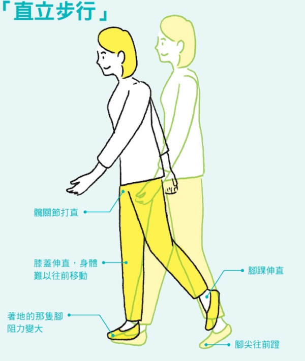 微調走路姿勢,改善腰痛、膝蓋痛!自我檢視:走路應避免的3大錯誤動作_img_3