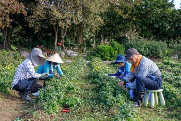 親近土地、下田耕作，是都市人少見的體驗。