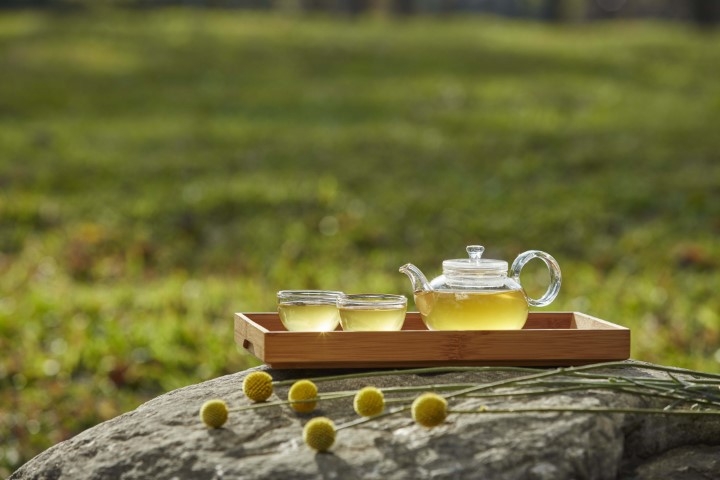 高山烏龍茶 屬輕發酵烏龍茶，產於台灣高山地帶，結合了山川靈氣與大地精華，茶湯金黃，入口生津。