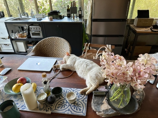 在山上的基地生活，一個人時自在，2個人時愉快。