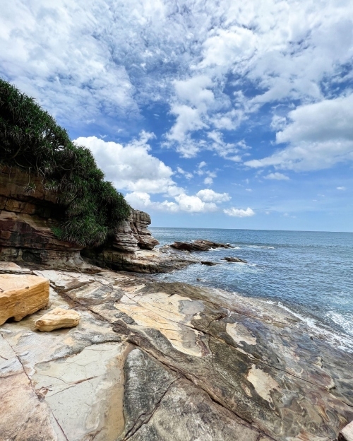 北海岸沿線景致優美，地形變化豐富。是很受國內外旅客的熱門景點。（出自台灣觀巴官網）
