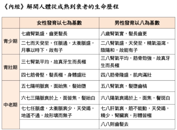 《黃帝內經》裡的「女七男八」定律，是指女性7年、男生8年是一個發育週期，每過一個循環週期，身體就會出現明顯的變化。（圖片來源：沈邑穎）