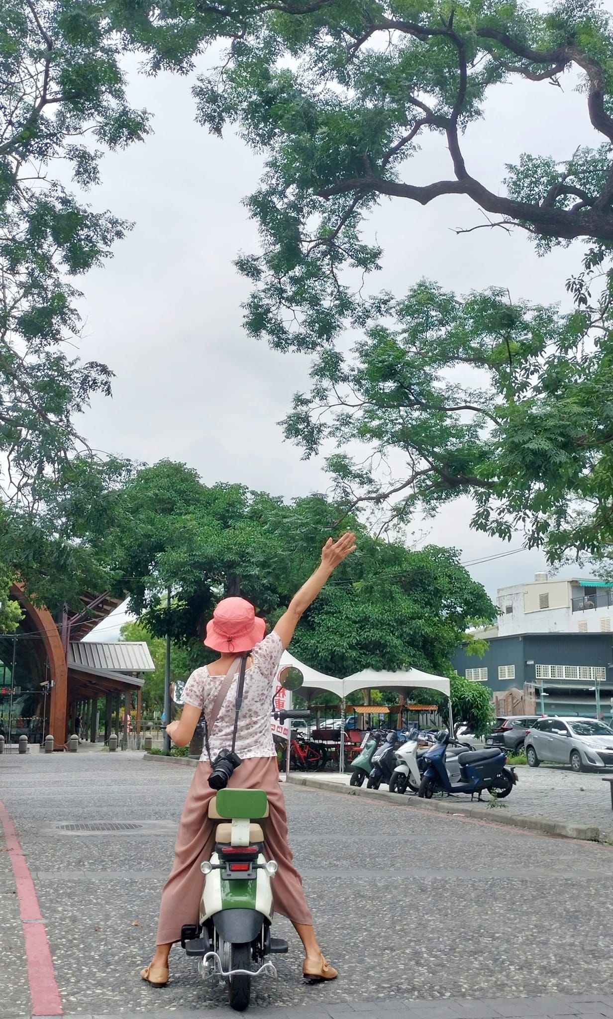 租一台電動自行車，一個人也能輕鬆暢遊池上。（圖片來源：Cc Huang）