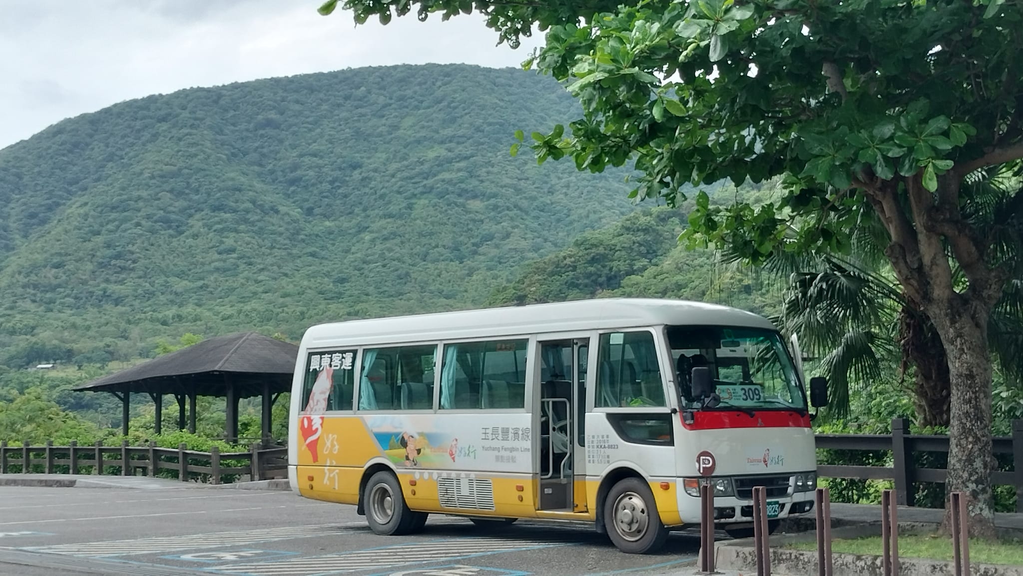 搭台灣好行玉長豐濱線，司機會在各景點停留，時間到了再上車前往下一個景點。（圖片來源：Cc Huang）