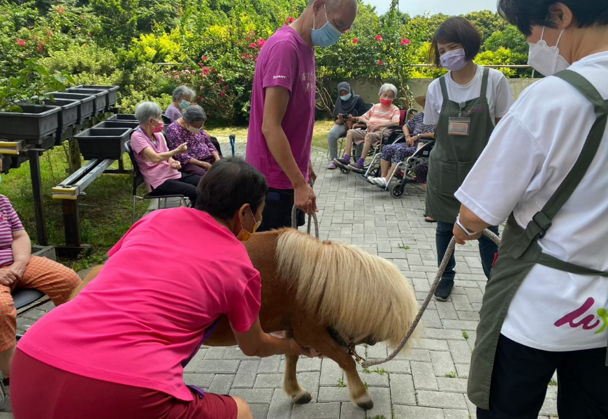 長輩與Blaze一起練習「紅蘿蔔體操」。