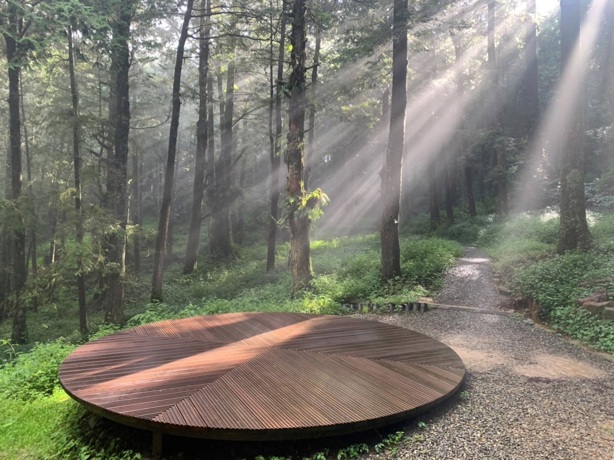 水山療癒步道沿途有許多經過設計的休息空間，讓旅客靜靜感受森林的療癒感（出自阿里山國家森林遊樂區FB粉專）