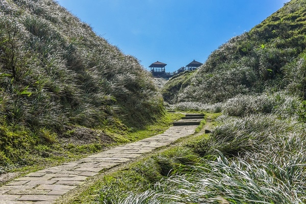 草嶺古道沿途多人工鋪面，比較不容易因濕滑而跌倒。（Shutterstock）