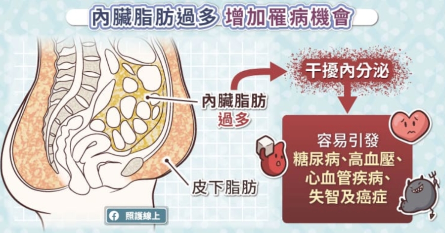 （圖片來源：照護線上）