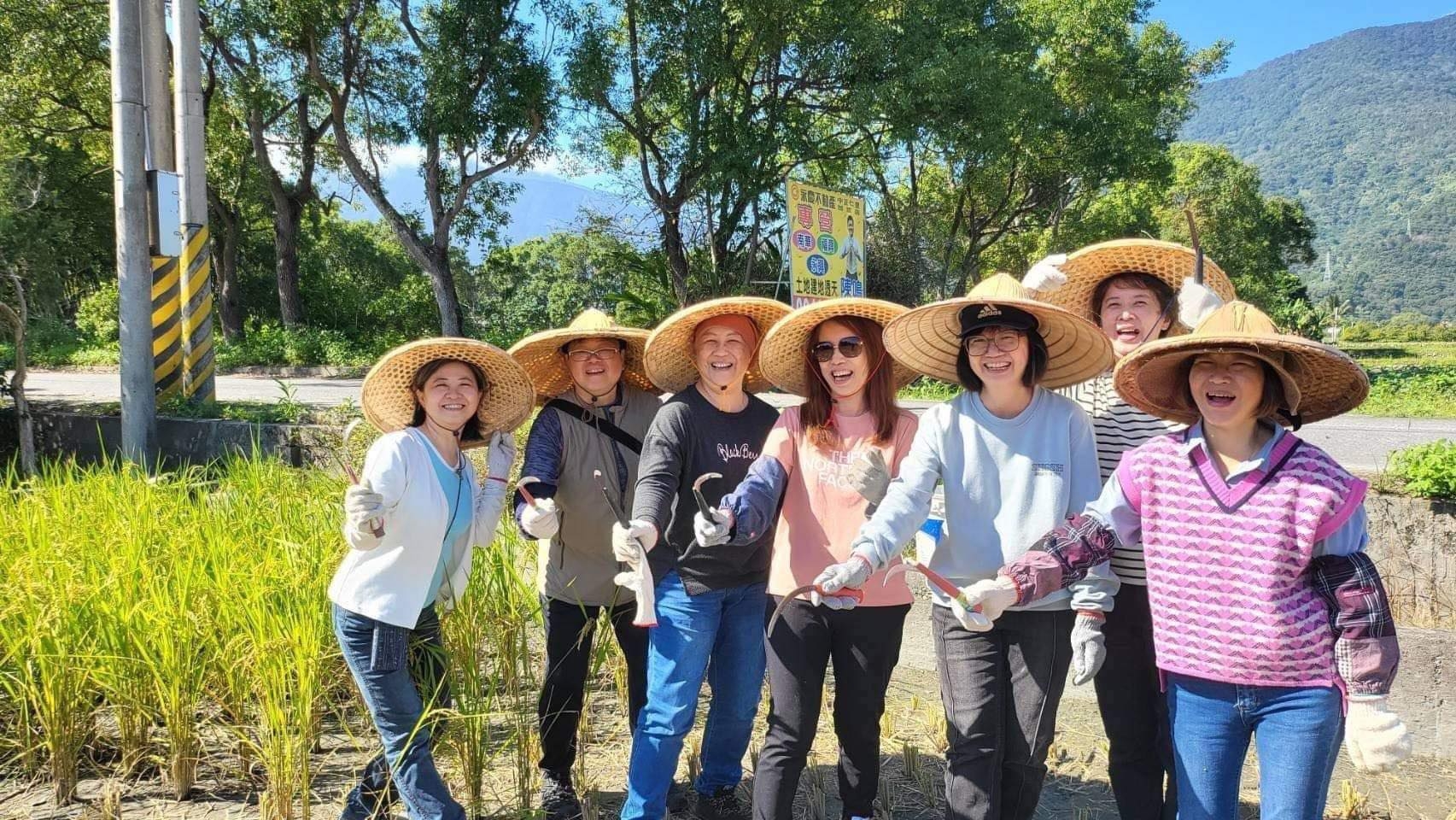 2023年，同學號召大家認養一畝田，2024年稻米收成，大家一起去割稻。（圖片來源：邱宜怡）
