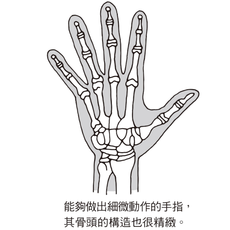 手變僵硬,老後恐怕不好使!滑手機、做家事都易傷關節,每日2個動作把手腕、手指變鬆_img_1